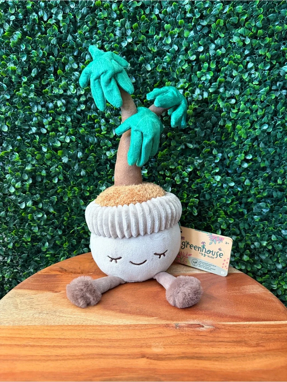Greenhouse by Russ David the Money Tree 12” Plush